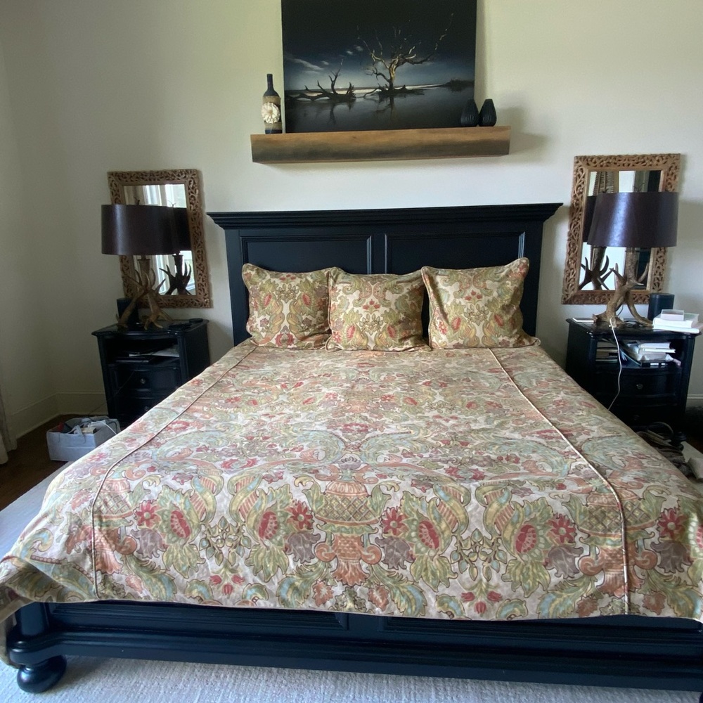 POTTERY BARN- Simone King Duvet/comforter with 3 EURO shams